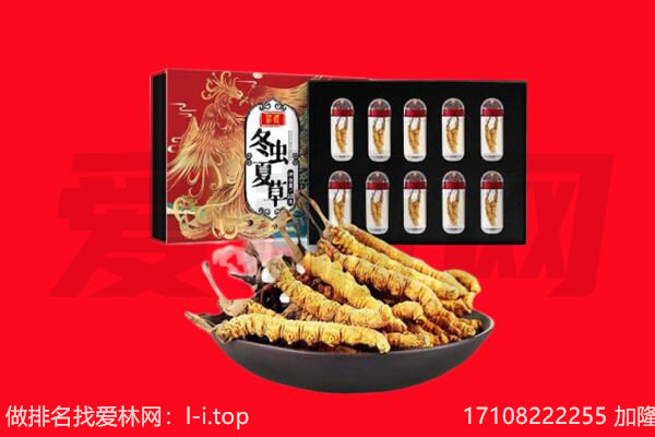 五常市回收虫草.jpg